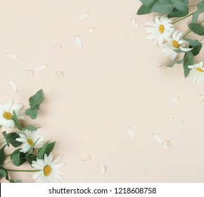 Flowers composition background. bouquet of flowers camomiles and green eucalyptus branches on pale beige background. Flowers frame. Valentine's day, women's day concept.Top view. Copy space