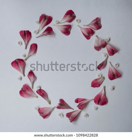 Similar – Clover frame on white background