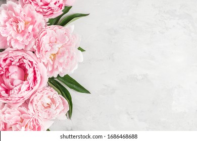 Flowers composition. Border made of pink peony flowers on white background. Flat lay. top view with copy space