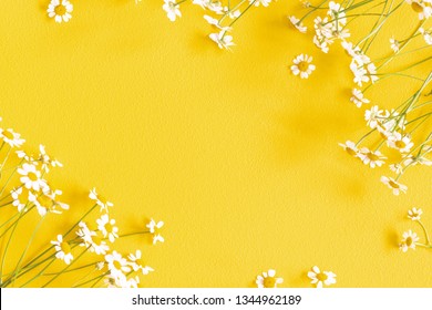 Flowers composition. Chamomile flowers on yellow background. Spring, summer concept. Flat lay, top view, copy space - Powered by Shutterstock