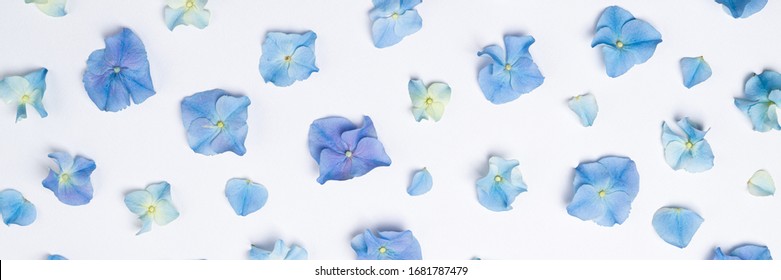 Flowers composition. Floral pattern of blue flowers hydrangea on white background. Creative floral texture. Flowers pattern flat lay. Top view
