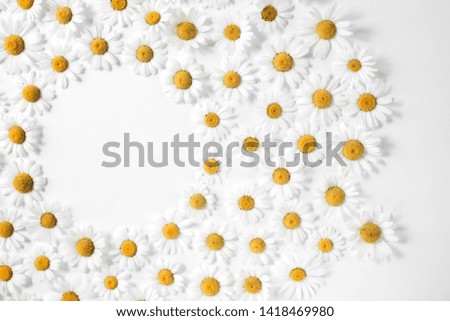 Flowers composition. Floral pattern made of white chamomile daisy flowers on white background. Summer concept. Flat lay, top view, copy space. Daisy background