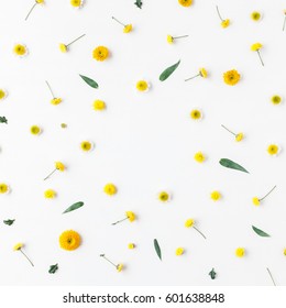 Flowers composition. Frame made of yellow flowers on white background. Flat lay, top view, square