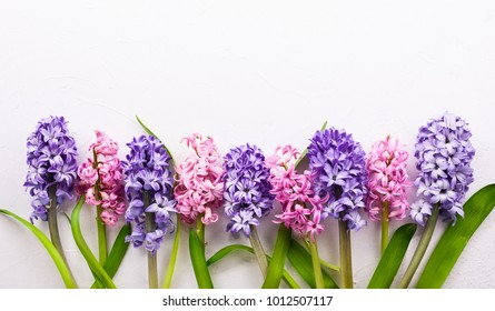Flowers composition with lilac and pink hyacinths. Spring flowers on white background. Easter concept. Flat lay, top view. - Shutterstock ID 1012507117
