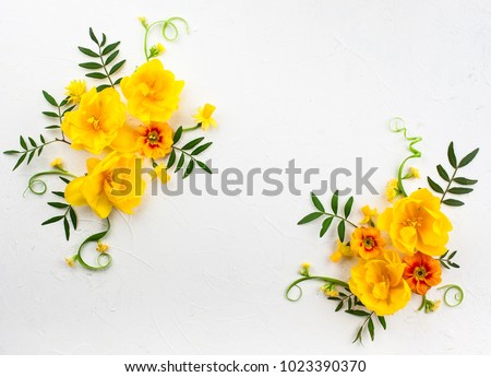 Flowers composition oh white background with spring flowers. Easter concept with copy spase. Flat lay, top view.