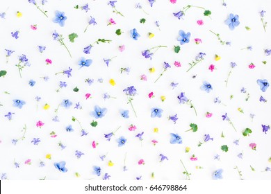 Flowers composition. Pattern made of different flowers on white background. Flat lay, top view