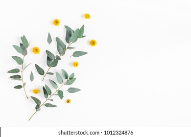 Flowers composition. Pattern made of yellow flowers and eucalyptus branches on white background. Flat lay, top view, copy space