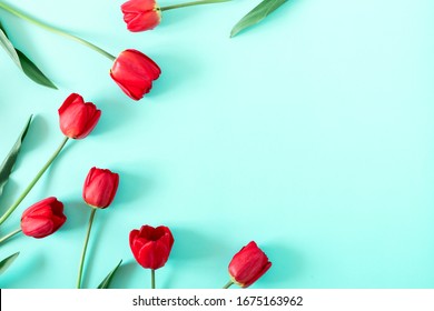 Flowers composition romantic. Red tulip flowers on pastel blue background. Valentine's Day, Easter, Birthday, Happy Women's Day. Flat lay, top view, copy space