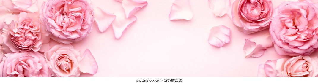 Flowers composition. Rose flower petals on pastel pink background. - Shutterstock ID 1969892050