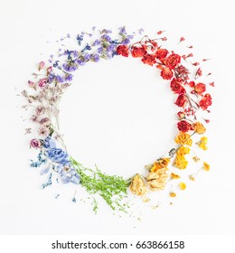 Flowers Composition. Wreath Made Of Rainbow Flowers On White Background. Flat Lay, Top View