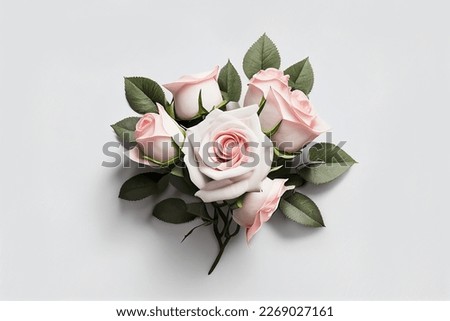 Flowers creative composition. Bouquet of pink white roses rose plant with leaves isolated on white background. Flat lay, top view, copy space	
