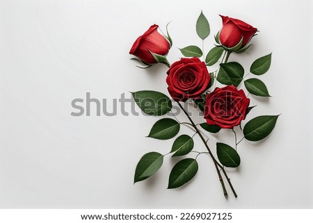 Flowers creative composition. Bouquet of red roses rose plant with leaves isolated on white background. Flat lay, top view, copy space	
