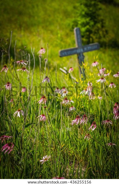 Flowers with Cross in\
Background\
