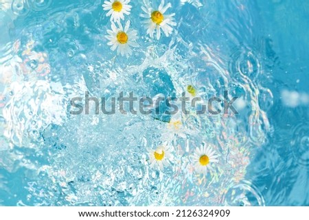 flowers of daisies on a blue water surface. splashes, waves and drops in the pool. summer mood, beautiful creative festive background.