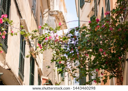 Similar – Image, Stock Photo Gallipoli, Apulia