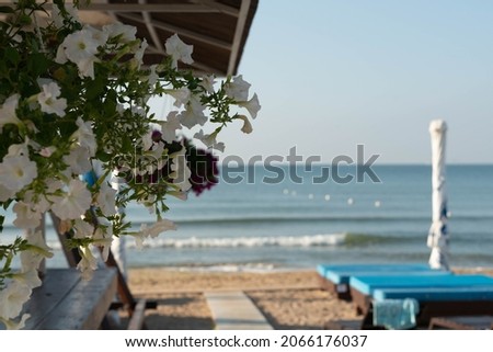 Flowers as decoration at the beach bar before opening on an early sunny morning.