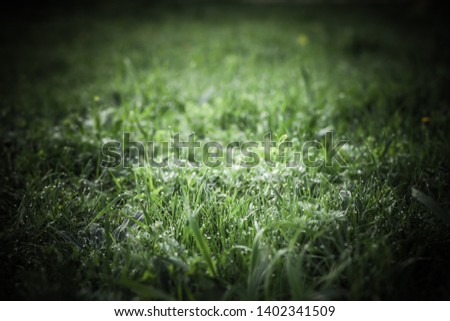 Similar – Image, Stock Photo frost Winter Nature Plant