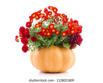 Flowers in the empty pumpkin
