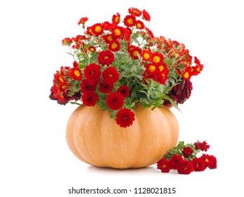 Flowers in the empty pumpkin