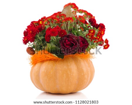 Flowers in the empty pumpkin