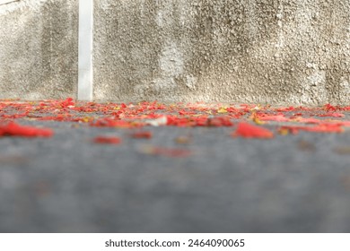 flowers falling to the ground, 
the flowers withered and fell to the ground, The ground is full of
Withered flowers - Powered by Shutterstock