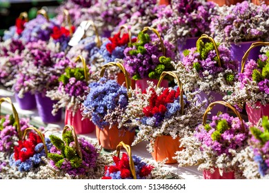Zagreb Flowers