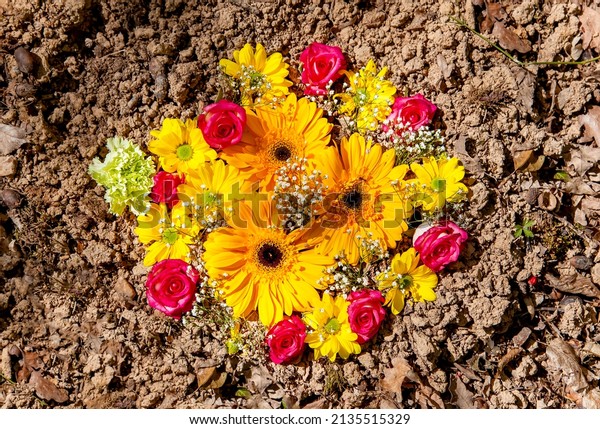 flowers in\
the forest. Funeral Roses, sunflowers and Carnations flowers\
arrangement on soil. Natural burial grave in the forest. tree\
burial, cemetery and All Saints Day\
concepts