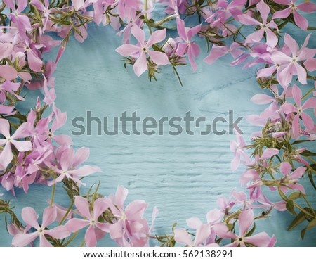 Similar – Carnation Flowers Frame Background