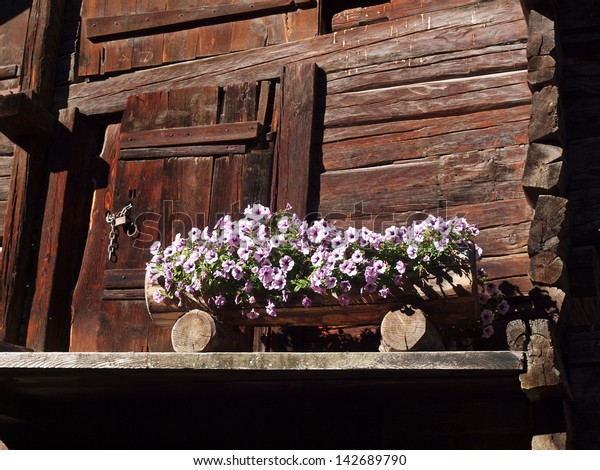 Flowers Front Old Log Cabin Valais Stock Photo Edit Now 142689790