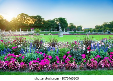 Flowers in the garden - Powered by Shutterstock