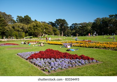 Flowers In Golden Gate Park