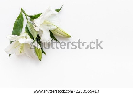 Flowers heads of white lilies. Floral mock up. Mourning or funeral background.
