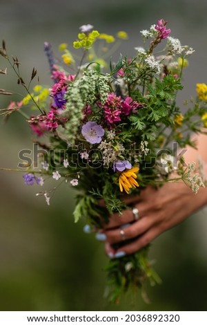 Similar – Female hands holding flower vase with wild flowers