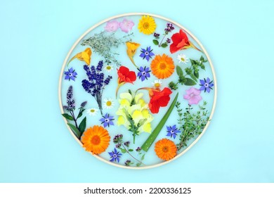 Flowers and herbs for natural plant based skincare healing beauty treatment. Can ease psoriasis, eczema, acne and wounds. Natural floral flower remedy healthcare with circular frame on blue background - Shutterstock ID 2200336125