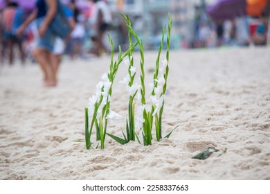 flowers in honor of iemanja, during a party at copacabana beach. - Shutterstock ID 2258337663