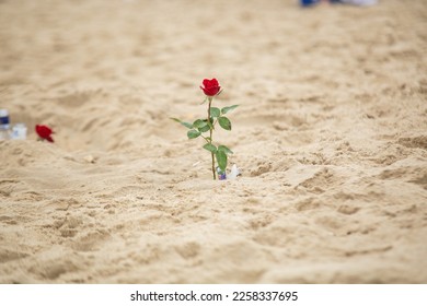 flowers in honor of iemanja, during a party at copacabana beach. - Shutterstock ID 2258337695