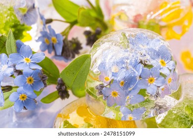 flowers in ice. Close up Ice cubes with frozen flowers on a white background. Small forget-me-nots and lilac and yellow flowers. Blur and selective focus. flower arrangement. Macro - Powered by Shutterstock