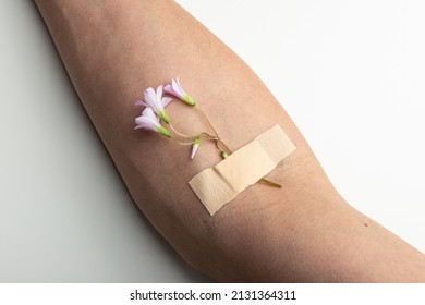 Flowers Instead Of Needles, Fight Against A Drug Addiction Intravenous Drugs