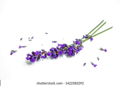 Flowers Of Lavander, Background With Flowers