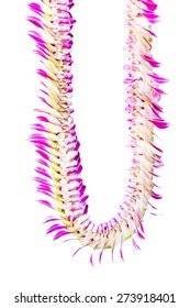 Flowers - Lei Hawaiian Garland Colorful Orchid Welcome 
