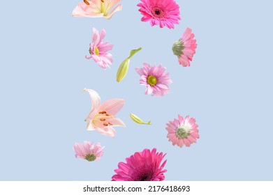 Flowers levitating on a pastel blue background. Colorful pink and purple trendy summer flowers flying. Surreal aesthetic nature spring concept. - Shutterstock ID 2176418693