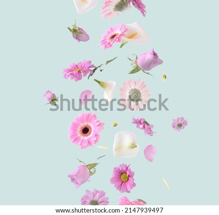 Flowers levitating on a pastel green background. Colorful pink, white and purple trendy summer flowers flying. Surreal aesthetic nature concept.