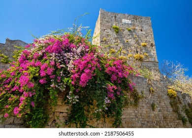 Flowers At The Liberty Gate Of City Walls In The Rhodes Town, Greece, Europe.