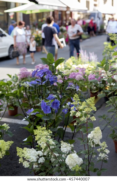 Flowers Libourne Marketbordeaux France Stock Photo Edit Now 457440007