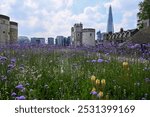 Flowers in the moat of the Tower of London in England.