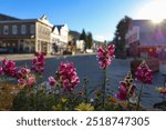 Flowers with a mountain town in the background. Crested Butte, CO