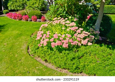 Flowers And Nicely Trimmed Bushes In Front Of The House, Front Yard. Landscape Design.