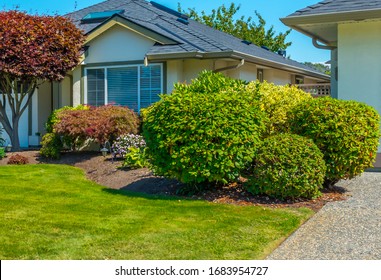 Flowers, Nicely Trimmed Bushes And Stones In Front Of The House, Front Yard. Landscape Design.