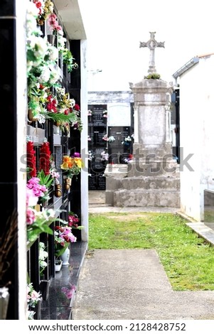 Flowers in niches of a cemetery
