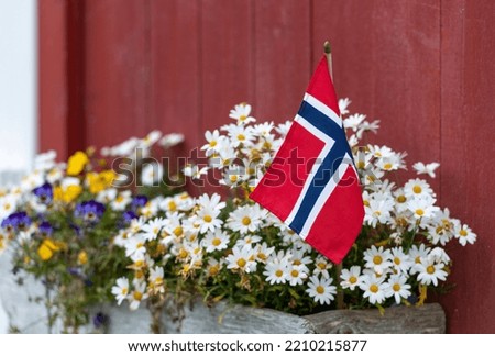 Flowers and Norwegian flag - stock photo